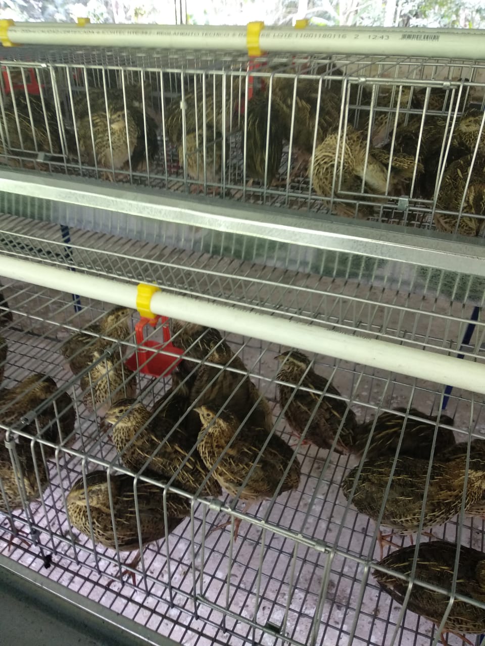 WhatsApp Image 2024-05-10 at 8.31.09 PM (2)