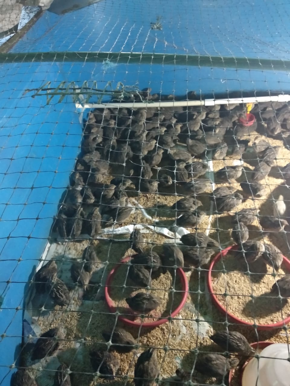 WhatsApp Image 2024-05-10 at 8.31.09 PM (3)