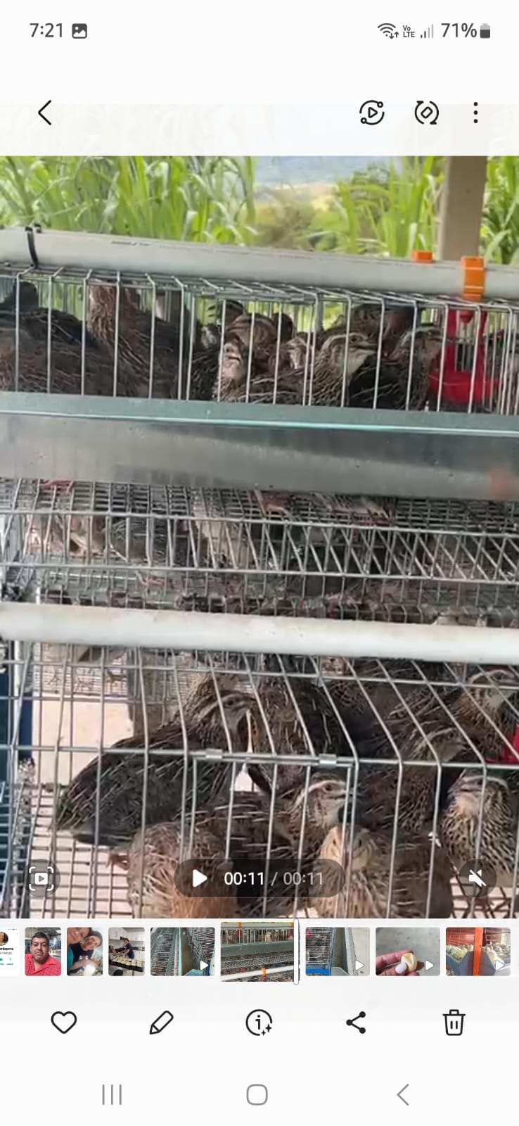 WhatsApp Image 2024-05-10 at 8.31.09 PM