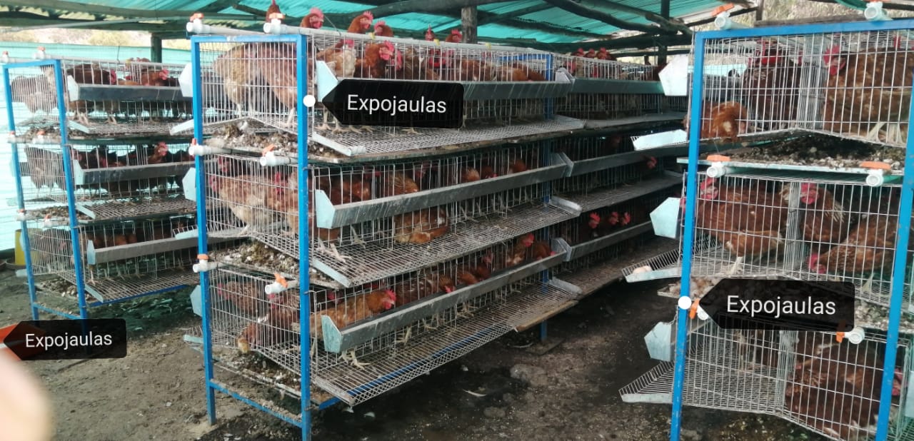 WhatsApp Image 2024-05-10 at 8.31.11 PM (1)