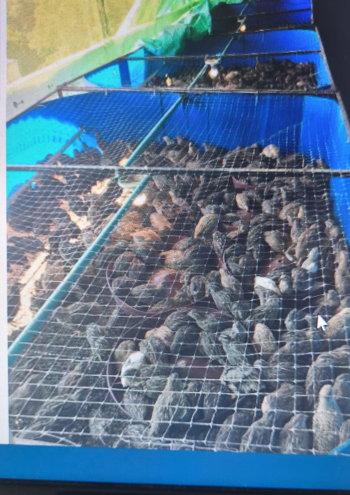 WhatsApp Image 2024-05-10 at 8.31.11 PM (2)