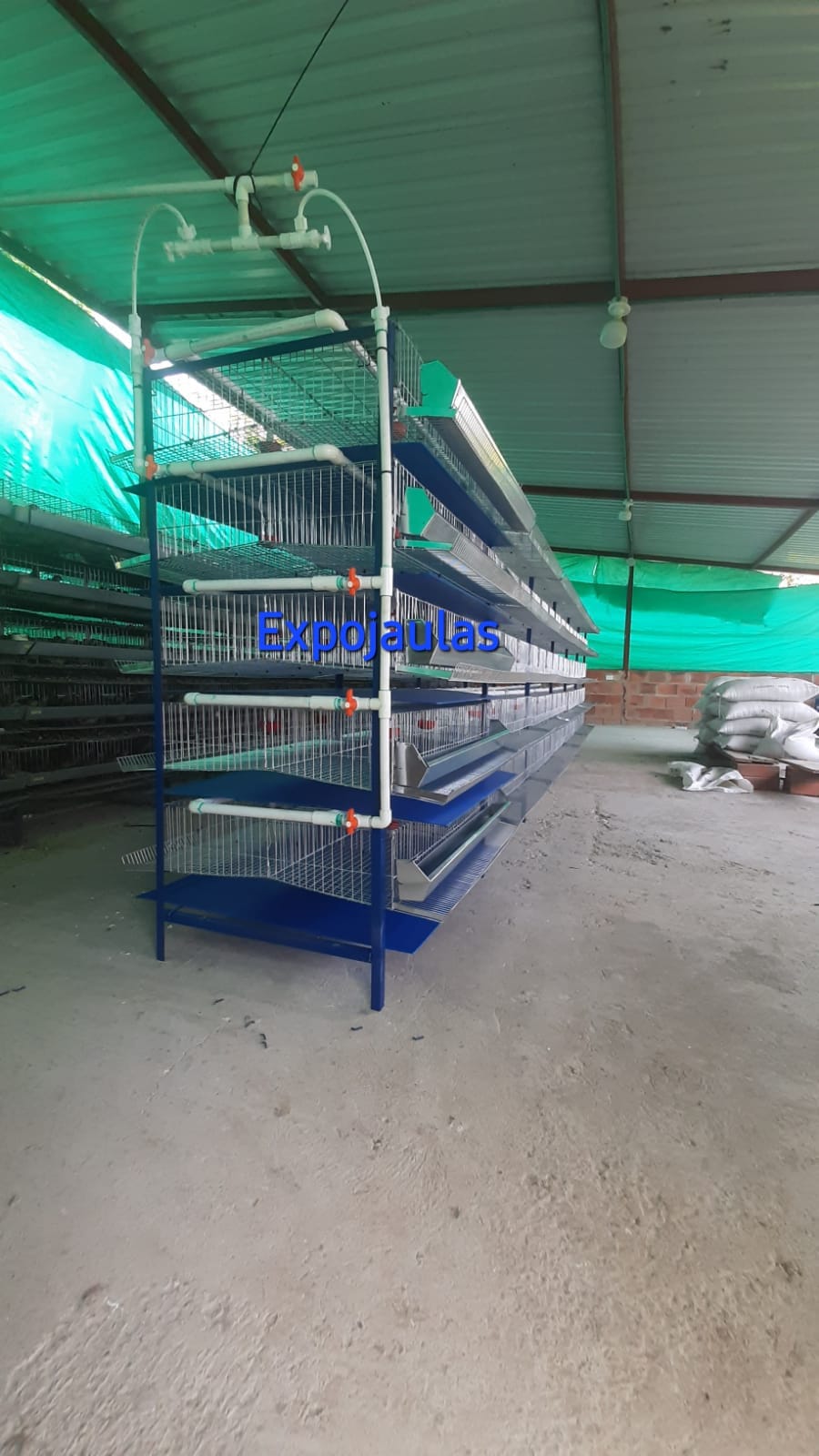 WhatsApp Image 2024-05-13 at 9.55.50 AM